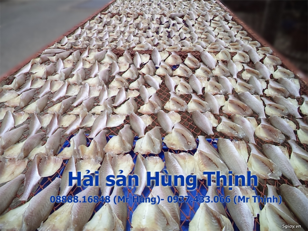 Cá Dứa Cần Giờ 1 nắng, cá Đù 1 nắng ngon bổ rẻ nhất HCMC - 23