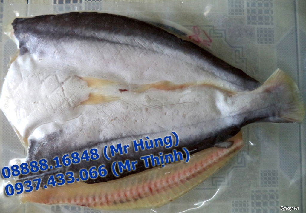 Cá Dứa Cần Giờ 1 nắng, cá Đù 1 nắng ngon bổ rẻ nhất HCMC - 9