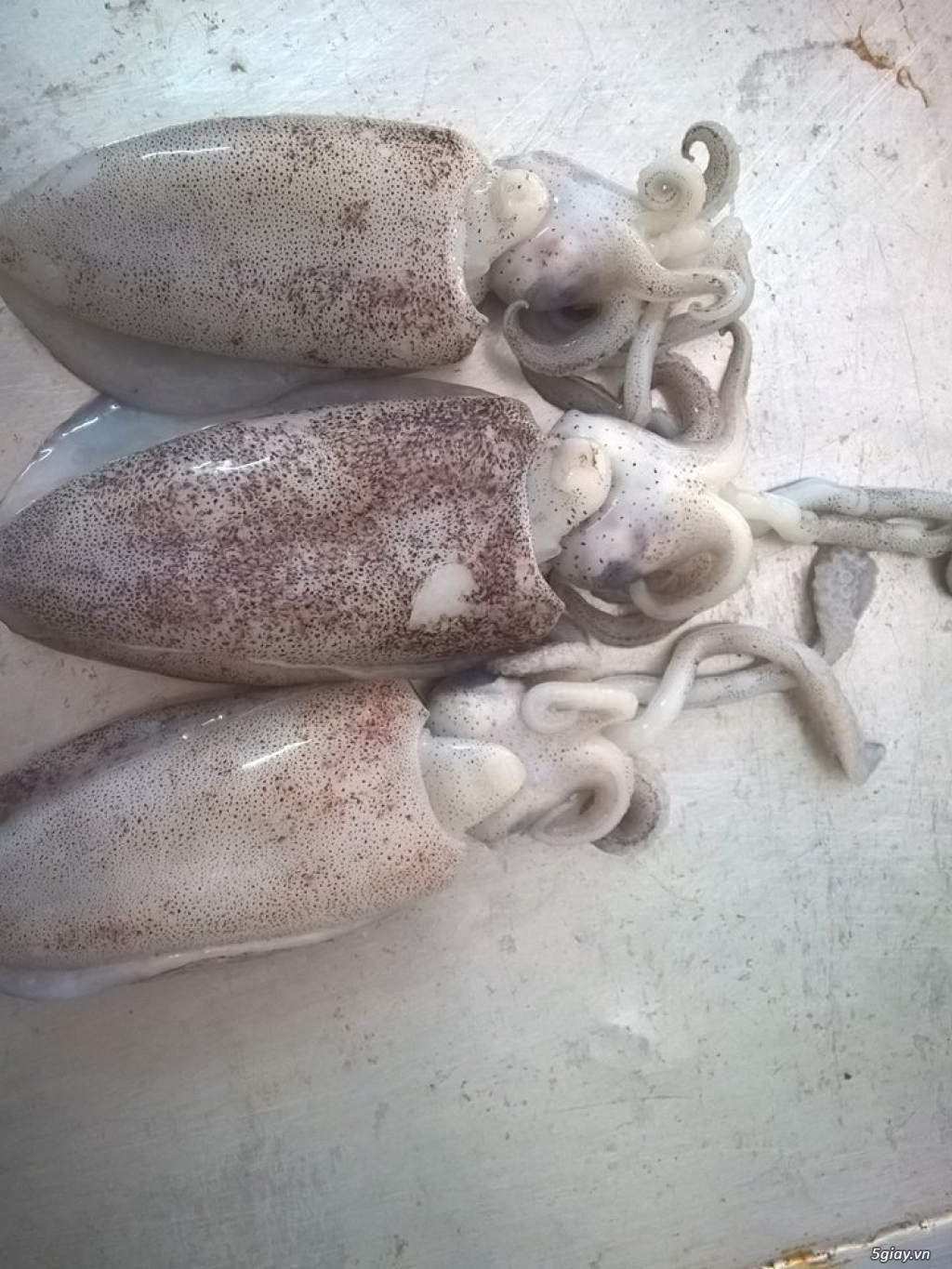 Hải Sản Tươi Sống Lagi - 8