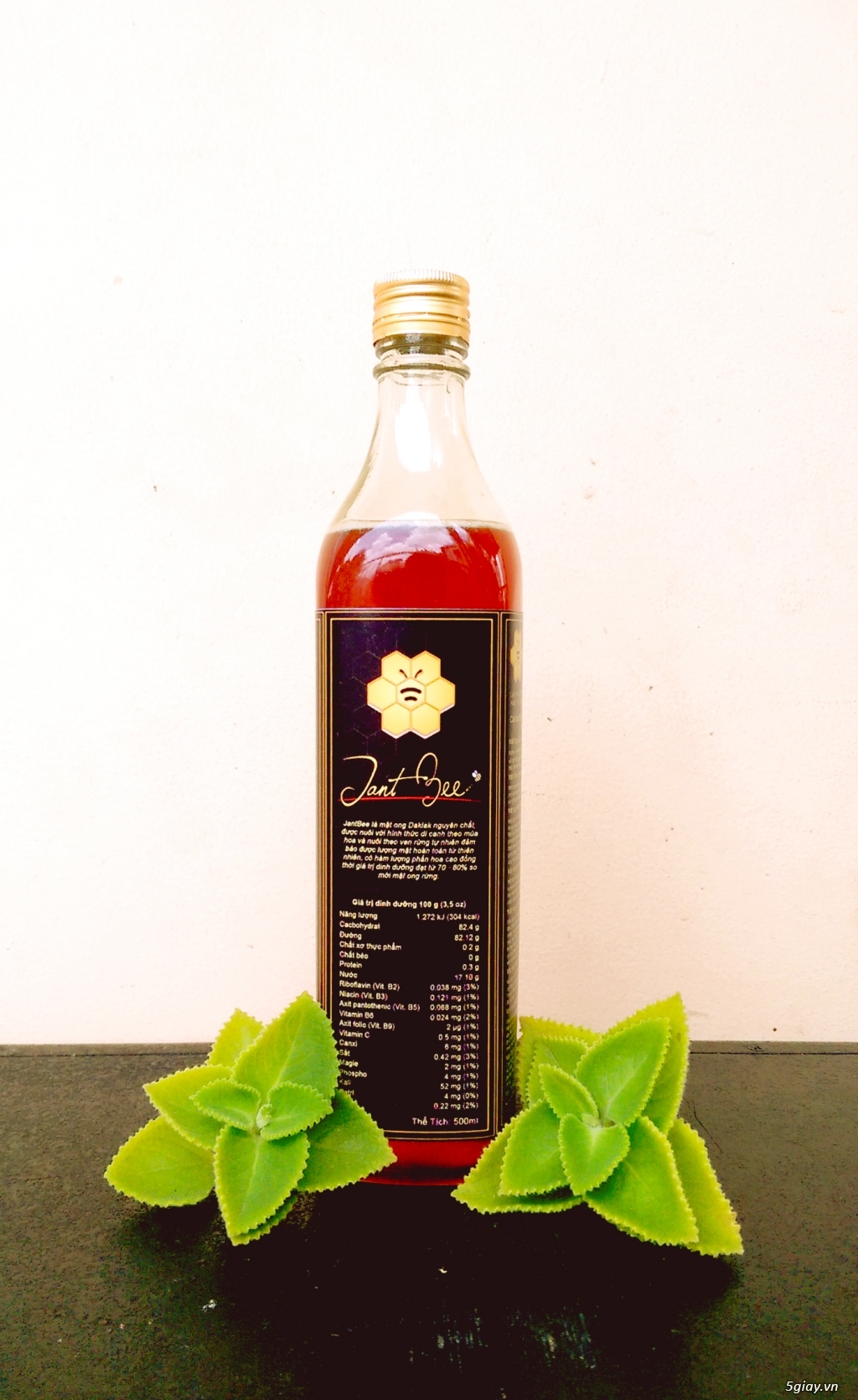 Jant Bee - Mật Ong Hoa Rừng Daklak 280k/lit - 1