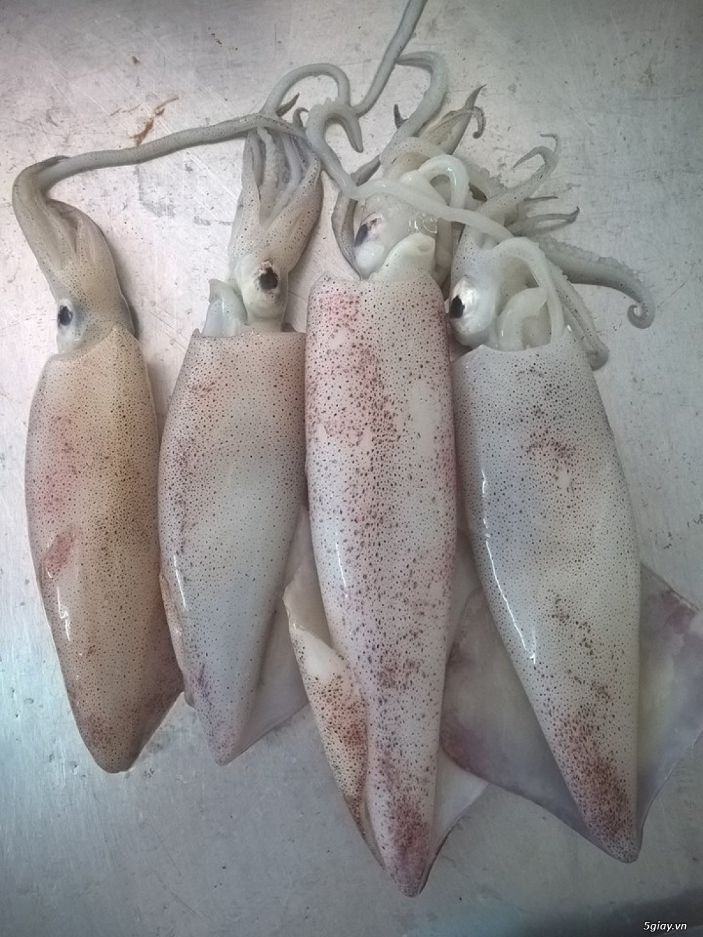 Hải Sản Tươi Sống Lagi - 9