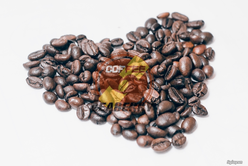 Chuyên Cung Cấp Sỉ và lẻ Cà Phê Nguyên Chất - 17