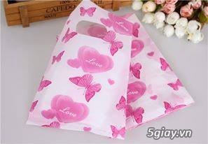 TÚI ĐỰNG SON - 37