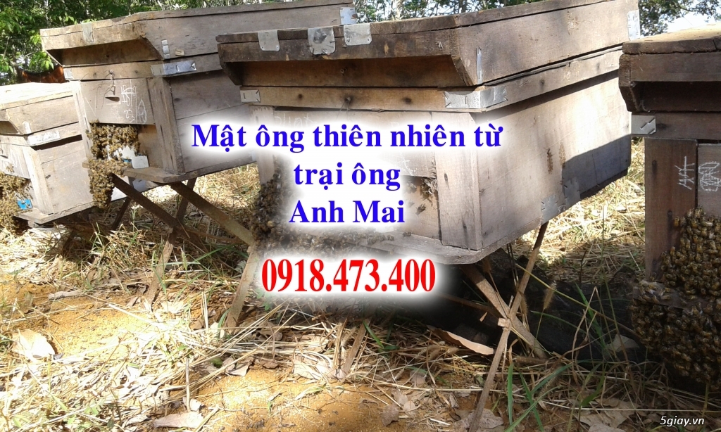 Cung cấp mật ông và sữa ông chúa thiên nhiên trên toàn quốc - 5