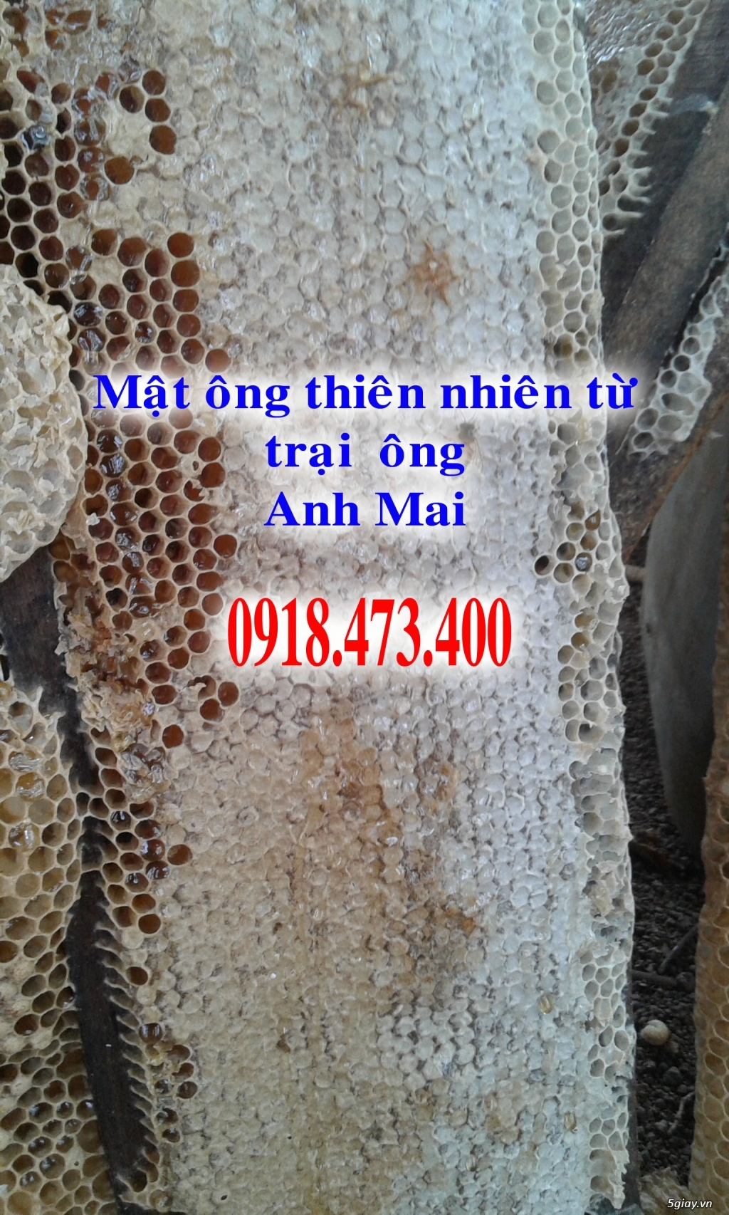 Cung cấp mật ông và sữa ông chúa thiên nhiên trên toàn quốc - 3