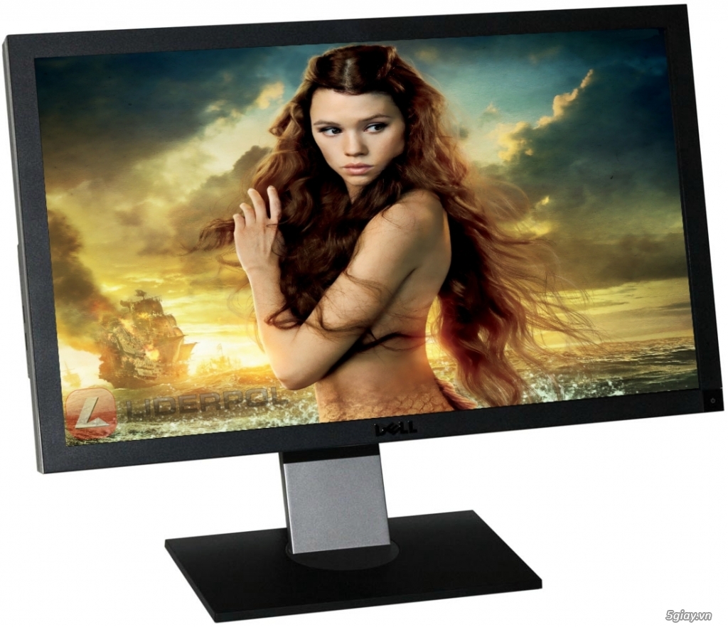 Màn hình LCD 22inch wide Dell P2210f cực đẹp BH 6 tháng - 4