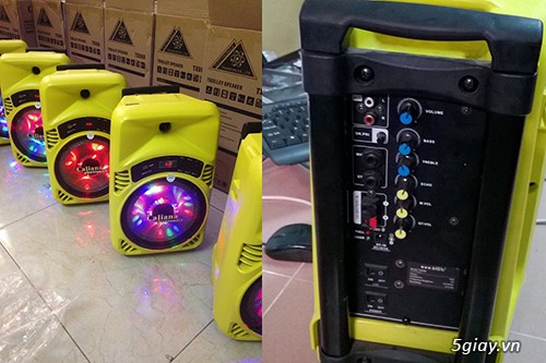 Phân phối giá sỉ Loa Kéo giá rẻ nhất Miền Nam các thương hiệu: Caliana - 2