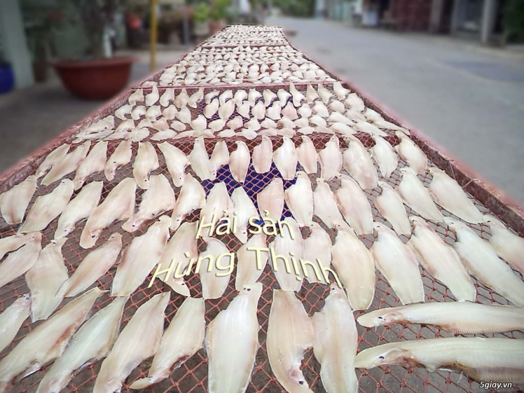 Cá Dứa Cần Giờ 1 nắng, cá Đù 1 nắng ngon bổ rẻ nhất HCMC - 43