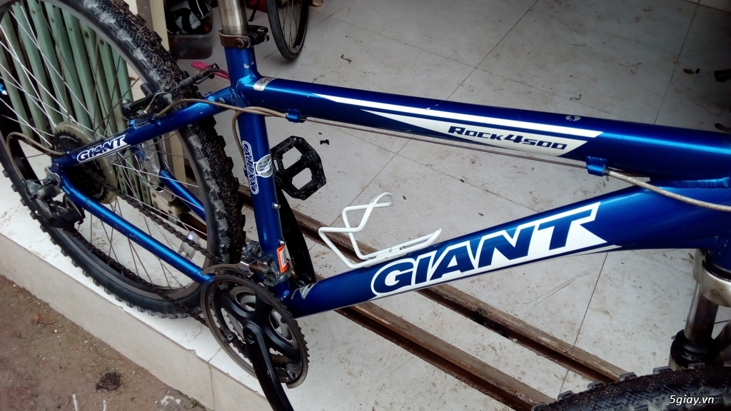 giant rock 4500