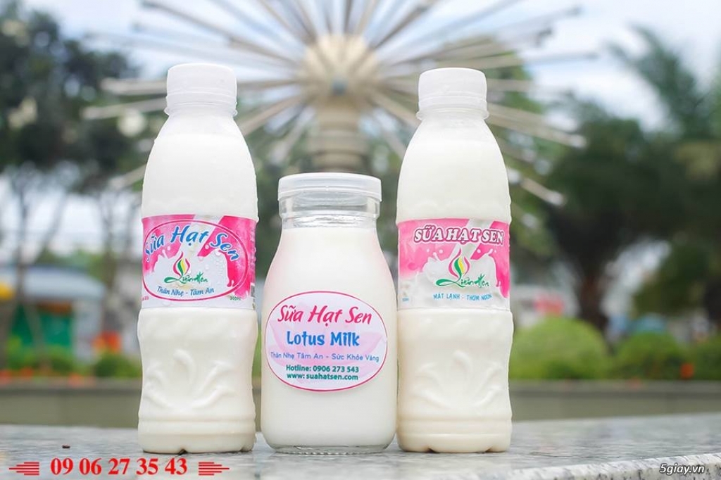 Sữa Hạt Sen Liên Hoa - Thơm ngon mát lạnh ngày hè