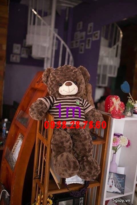 Gấu bông giá rẻ, gấu teddy - 1