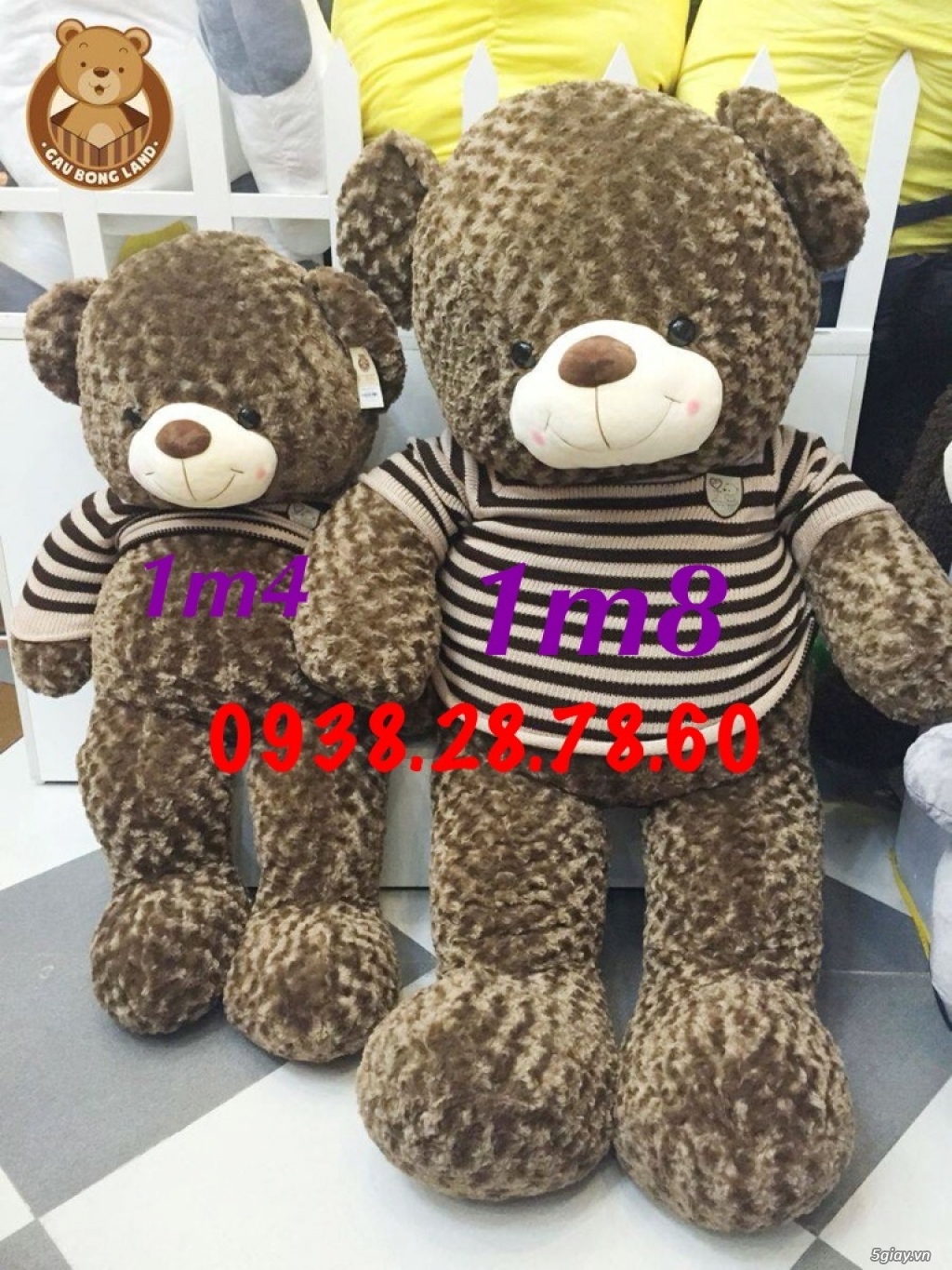 Gấu bông giá rẻ, gấu teddy - 4
