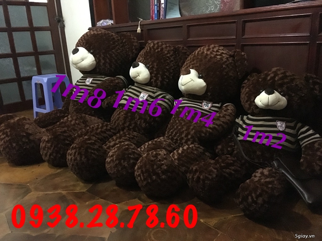 Gấu bông giá rẻ, gấu teddy - 6