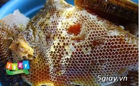 mật ong nuôi nguyên chất ( mật hoa ) uy tín , chất lượng ! - 2