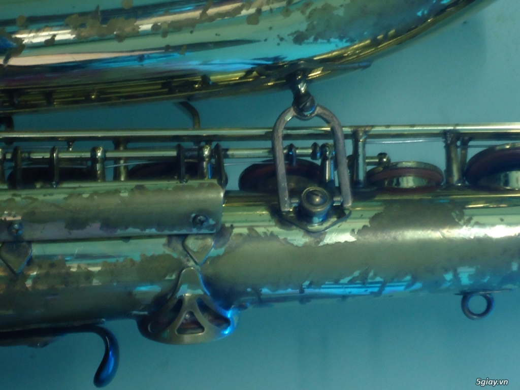 Kèn Saxophone - 2