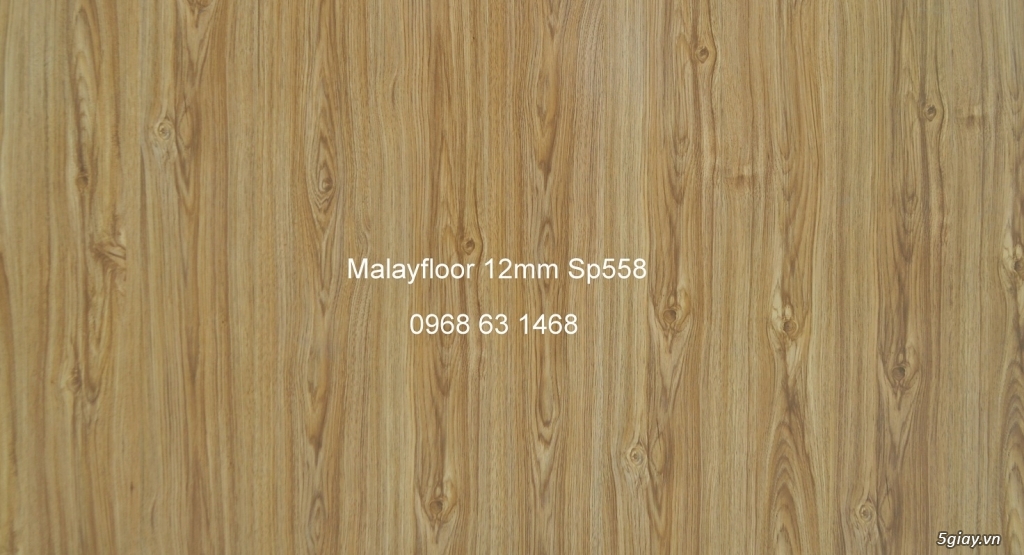 Sàn gỗ công nghiệp cao cấp nhập khẩu - 7