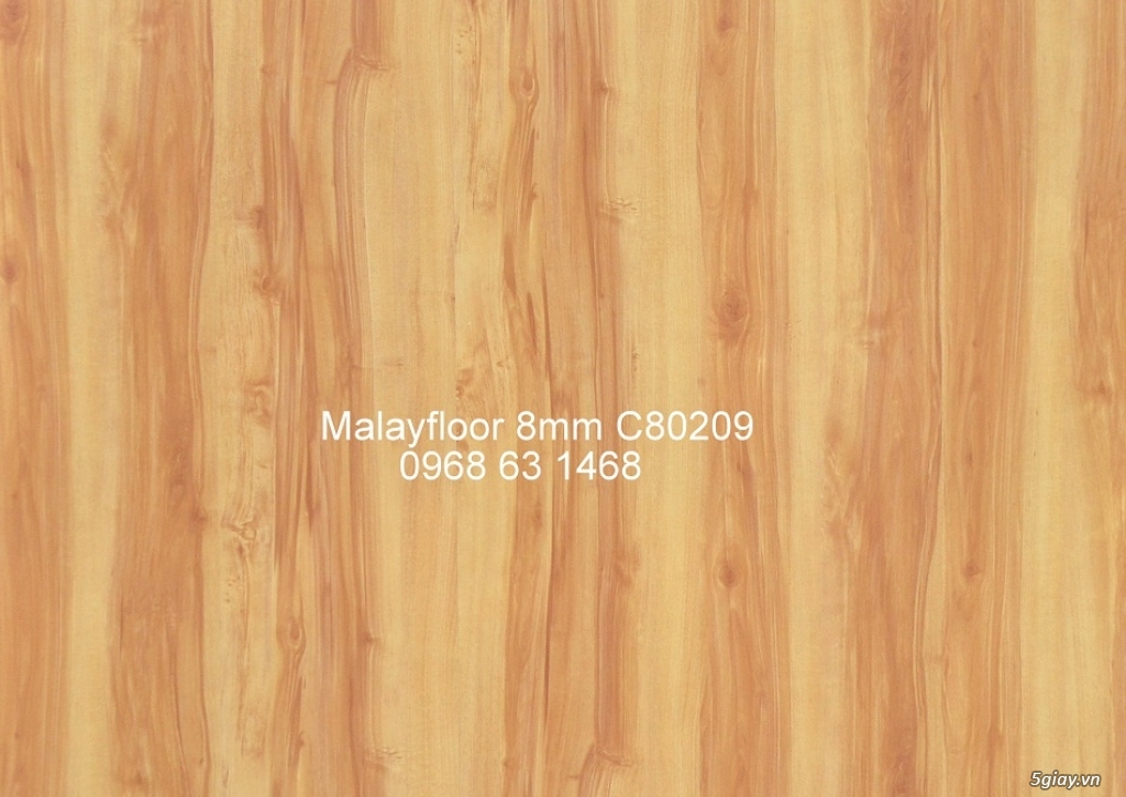 Sàn gỗ công nghiệp cao cấp nhập khẩu - 3