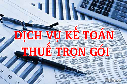 Dịch vụ kế toán TPHCM - Dịch vụ báo cáo thuế 0913 011 225 - 1