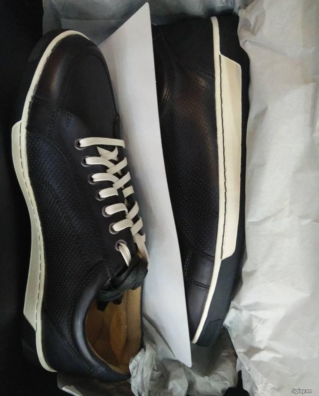 Giày COlE HAAN Vartan Sport Ox size 42, chính hãng, fullbox