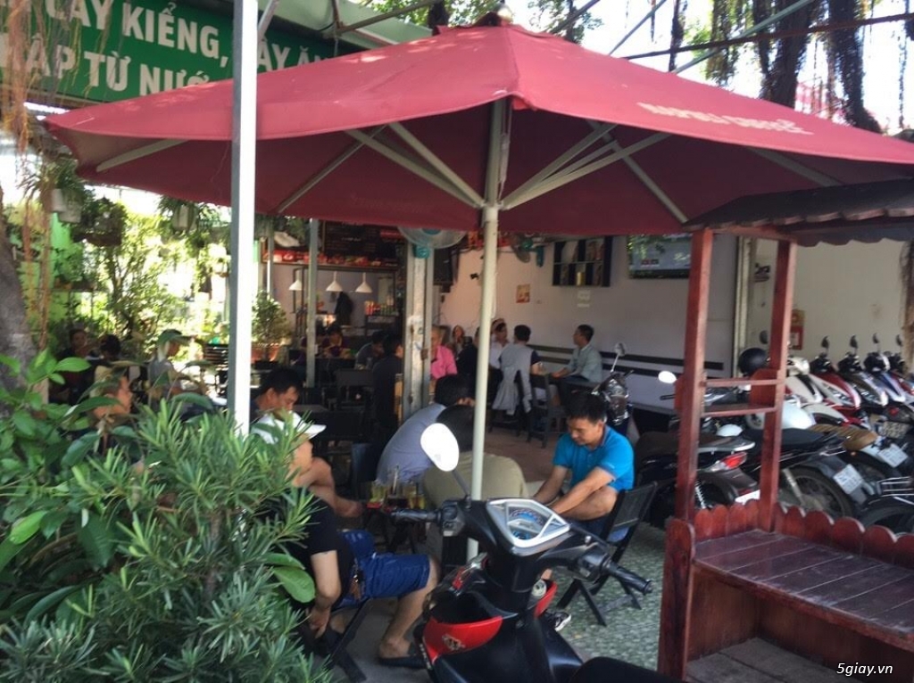 Sang quán cafe sân vườn cây cổ thụ