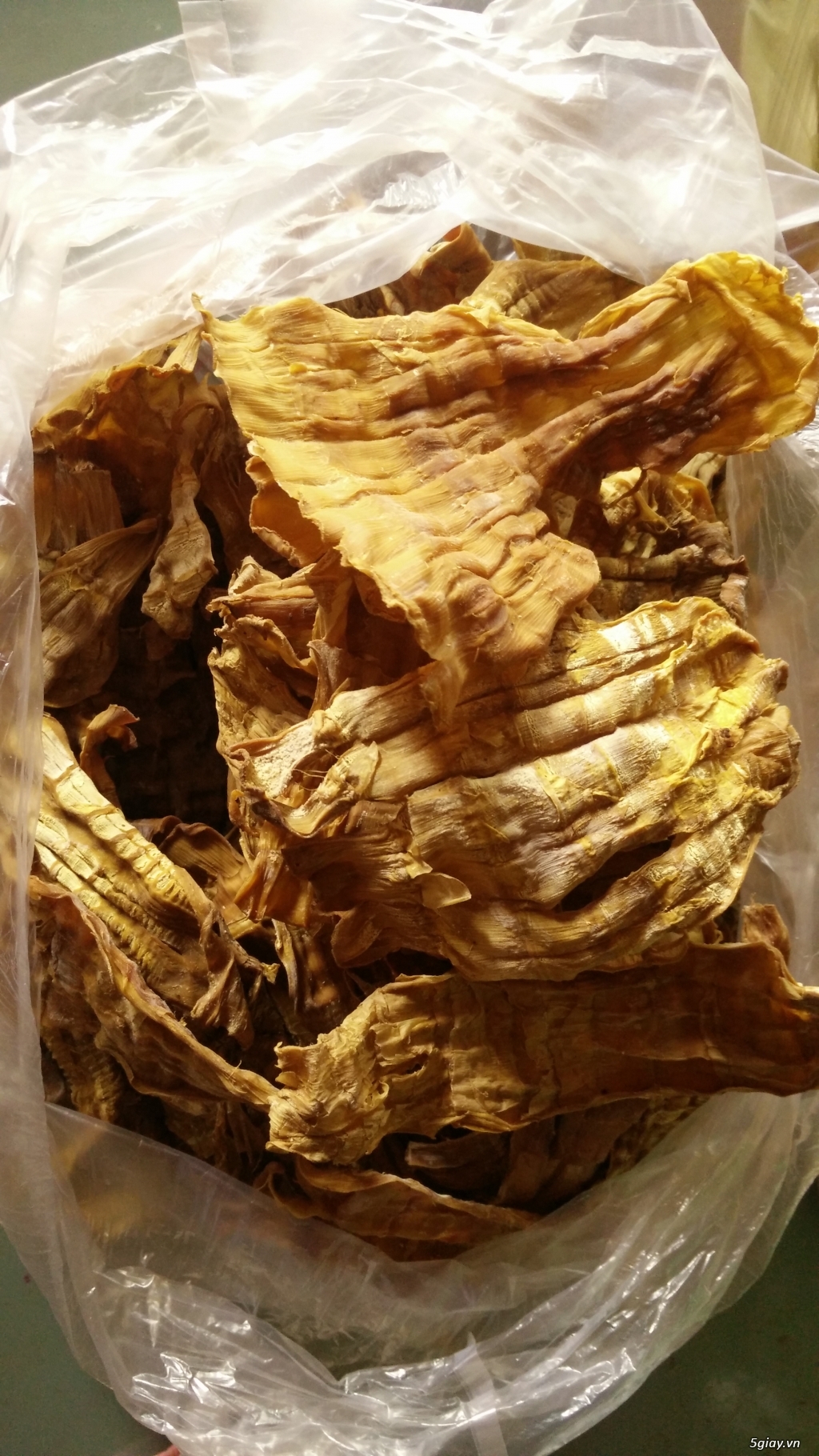 Măng khô rừng - 1