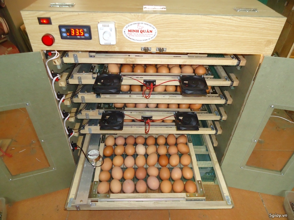 Máy ấp trứng cao cấp tự động giá rẻ cho ace - 12