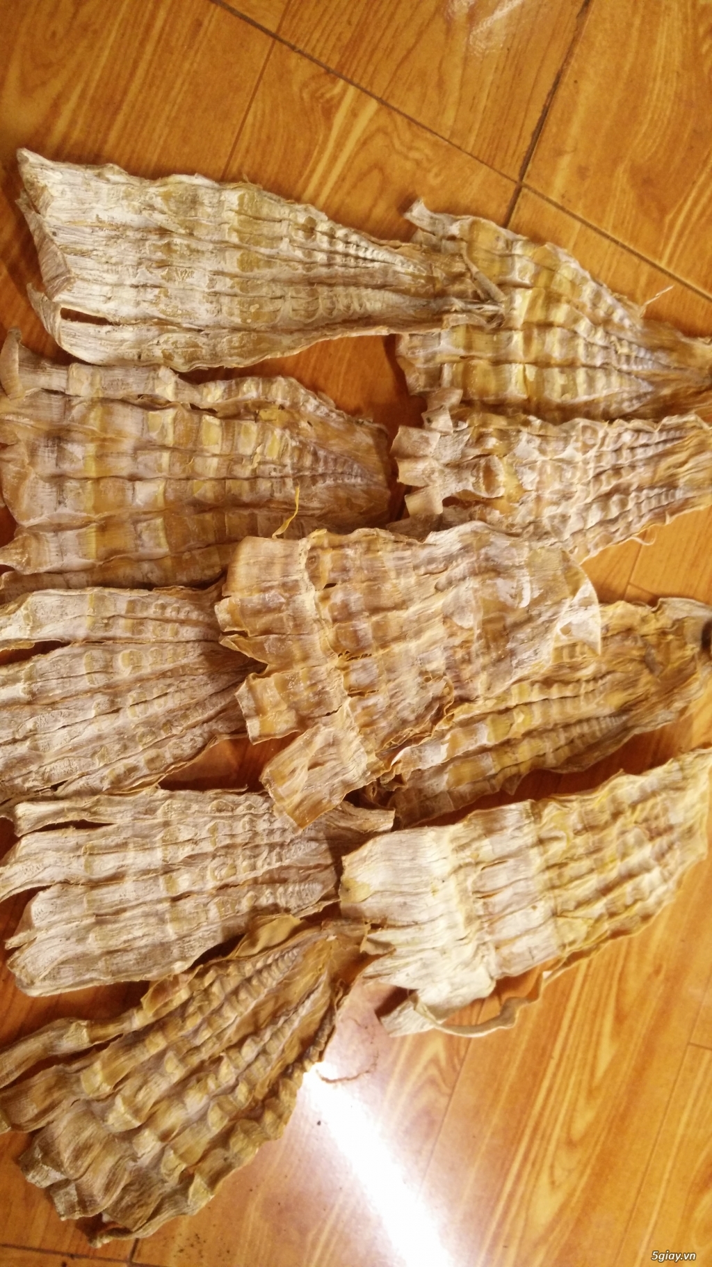 Măng khô rừng - 3