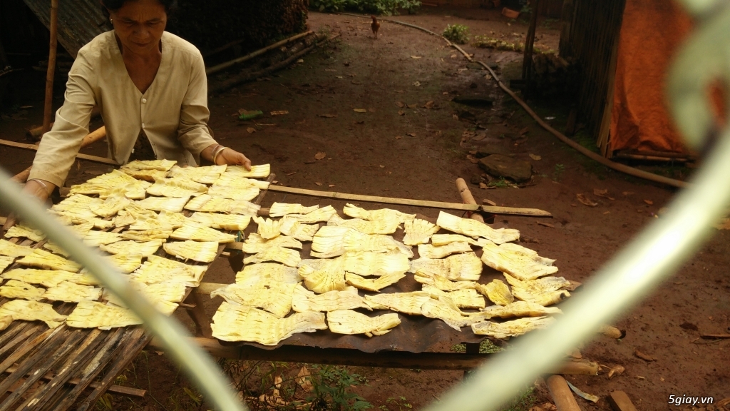 Măng khô rừng - 2