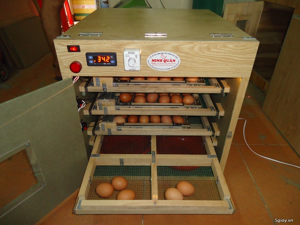 Máy ấp trứng cao cấp tự động giá rẻ cho ace - 6
