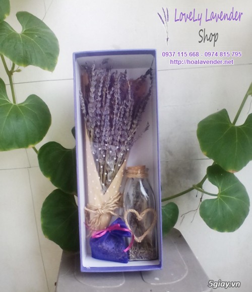 Hoa lavender quà tặng ngày 20/10 - giao hoa trong vòng 30 phút - 8