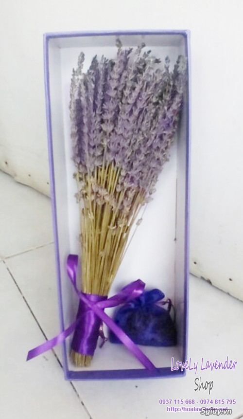 Hoa lavender quà tặng ngày 20/10 - giao hoa trong vòng 30 phút - 6