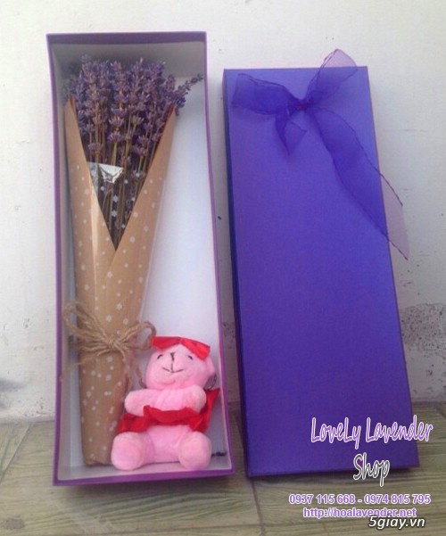 Hoa lavender quà tặng ngày 20/10 - giao hoa trong vòng 30 phút - 4