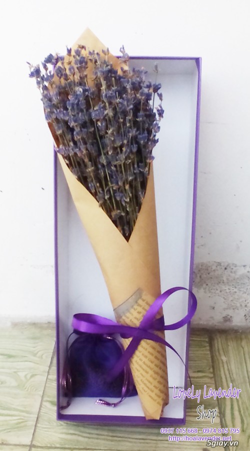 Hoa lavender quà tặng ngày 20/10 - giao hoa trong vòng 30 phút - 5
