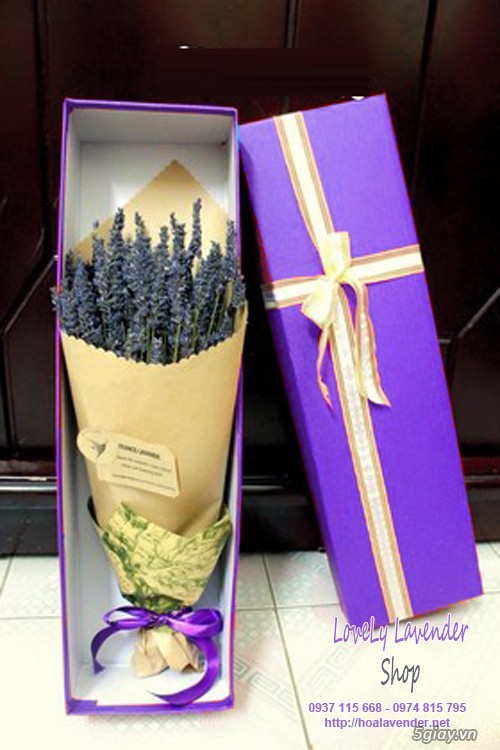 Hoa lavender quà tặng ngày 20/10 - giao hoa trong vòng 30 phút - 1
