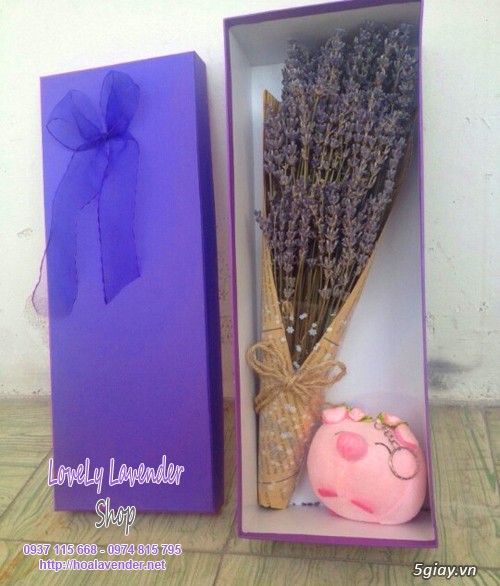 Hoa lavender quà tặng ngày 20/10 - giao hoa trong vòng 30 phút - 3