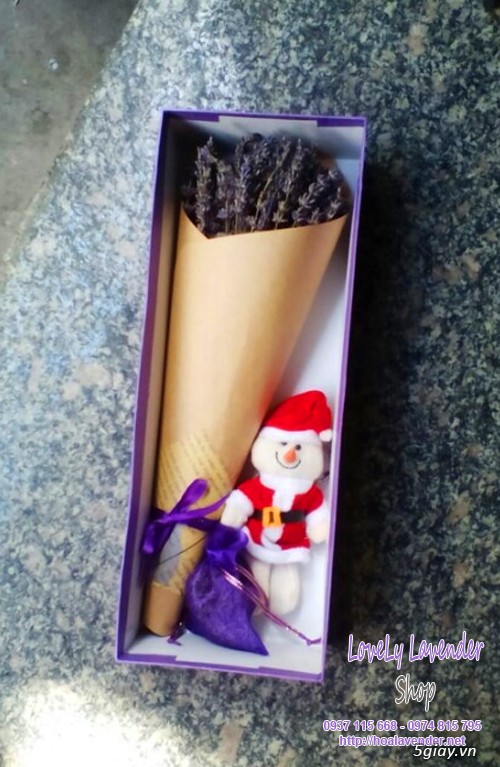 Hoa lavender quà tặng ngày 20/10 - giao hoa trong vòng 30 phút - 2