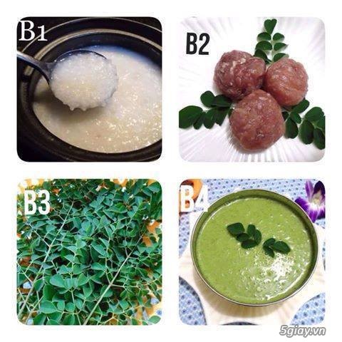 Sản phẩm sức khỏe từ cây chùm ngây_ dành cho mẹ và bé - 7