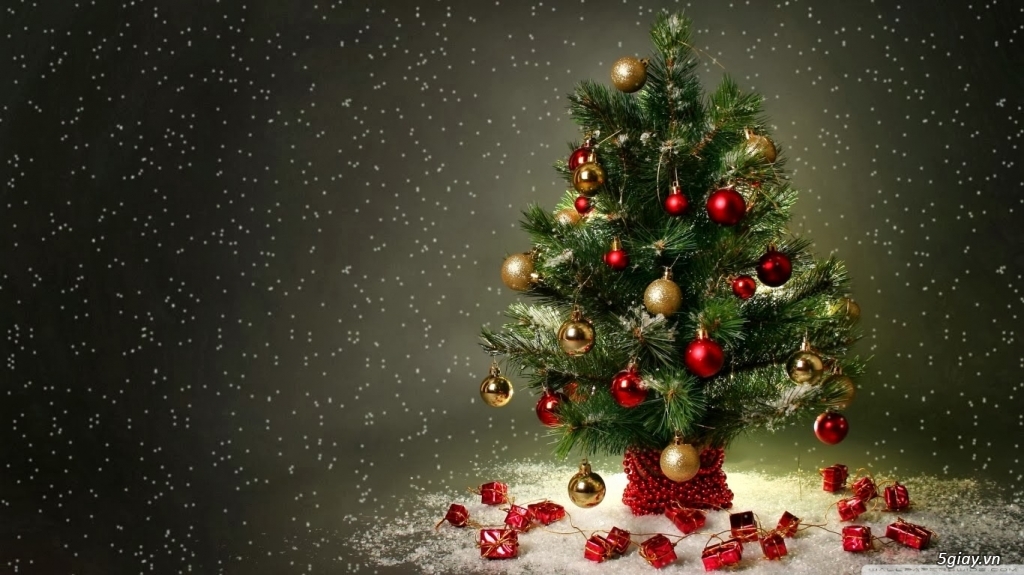 Vận chuyển thiệp, bưu thiếp, bưu phẩm, quà Giáng Sinh, cây thông Noel đi nước ngoài  0906 195 458