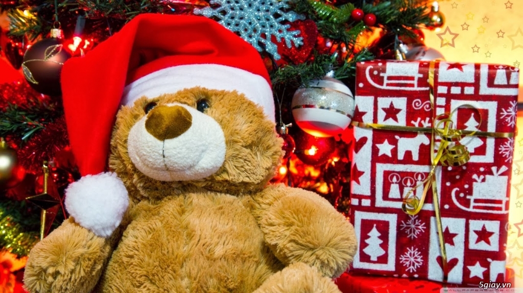 Chuyển phát nhanh gấu bông, khăn len, khăn choàng, thiệp Giáng Sinh, quà Giáng Sinh – 0906 195 458