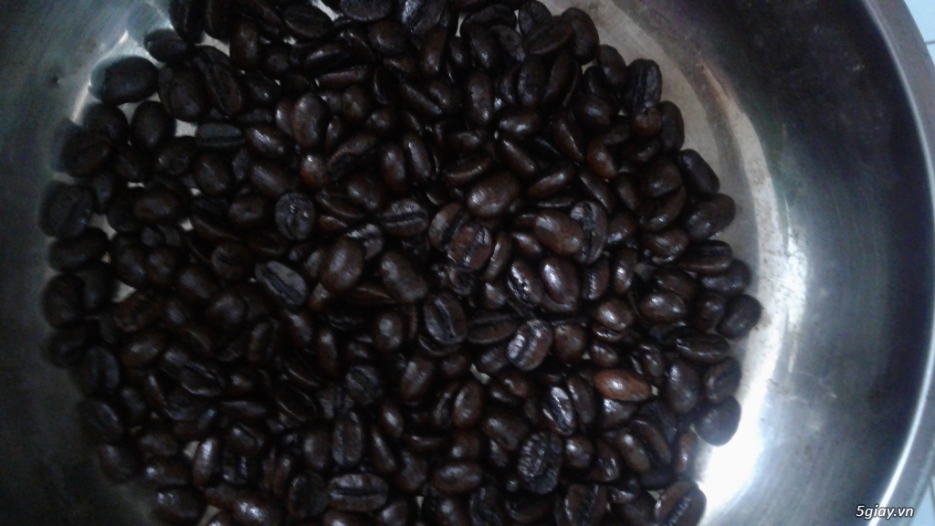 Ca phê sach robusta, culi, moka