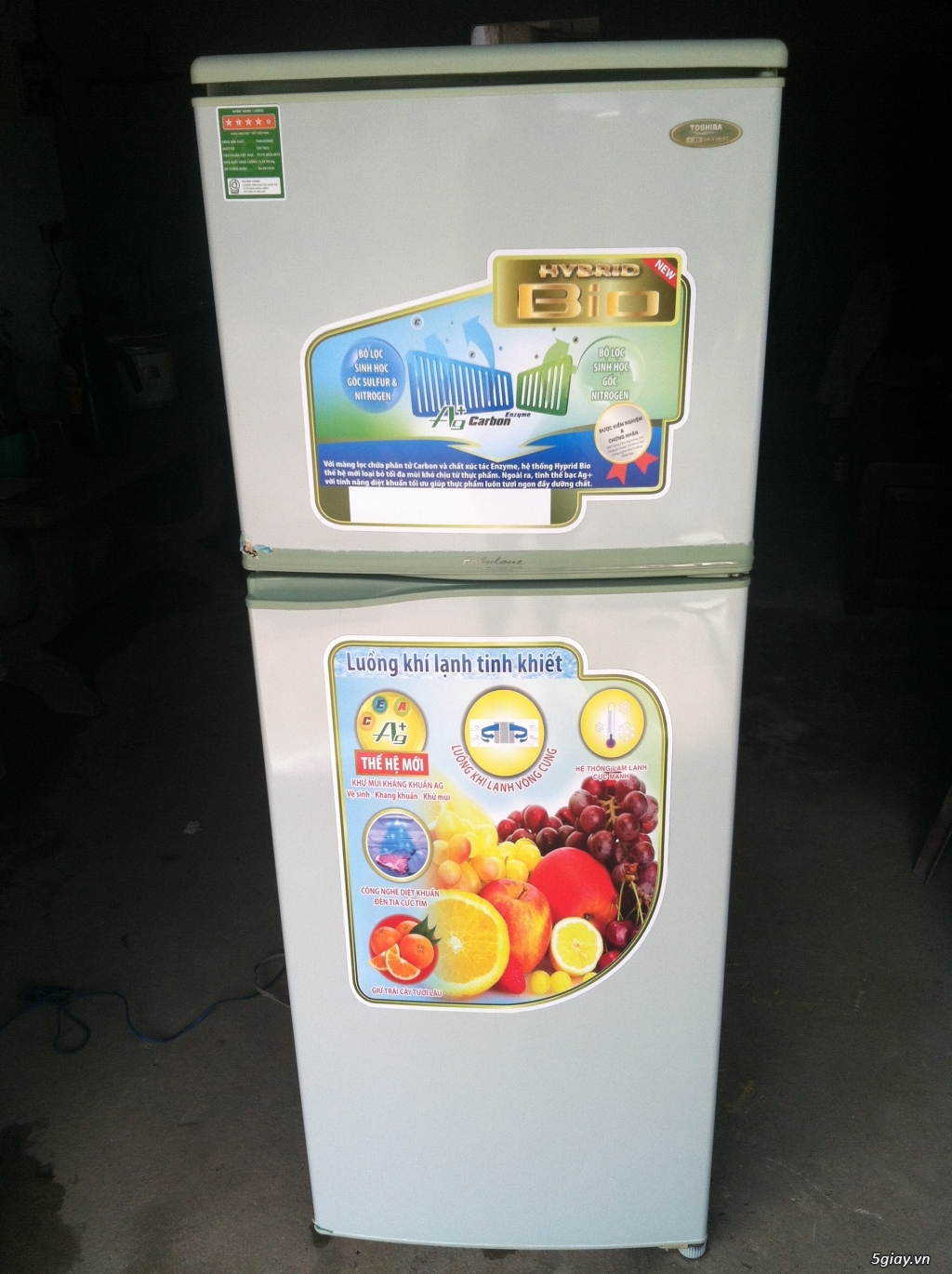 tủ lạnh TOSHIBA 180 lít, không đóng tuyết - 1