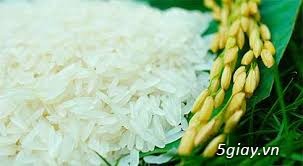Chuyên cung cấp gạo sạch đạt chuẩn chất lượng (phục vụ gia đình, nhà hàng, từ thiện) - 3
