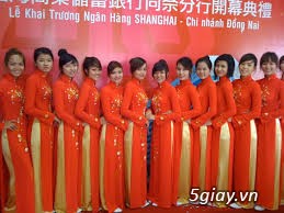 Cung cấp PG-PB - 2
