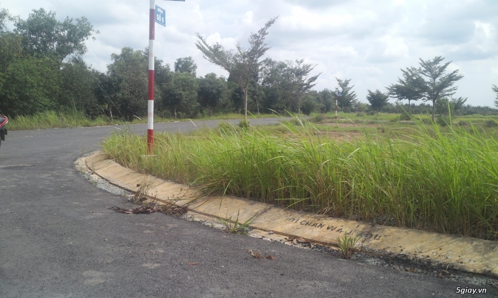Đất thổ 100% gần ngã 3 tân đô tỉnh lộ 10 bình chánh - 4