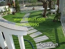 Agata Grass Cỏ nhân tạo sân vườn
