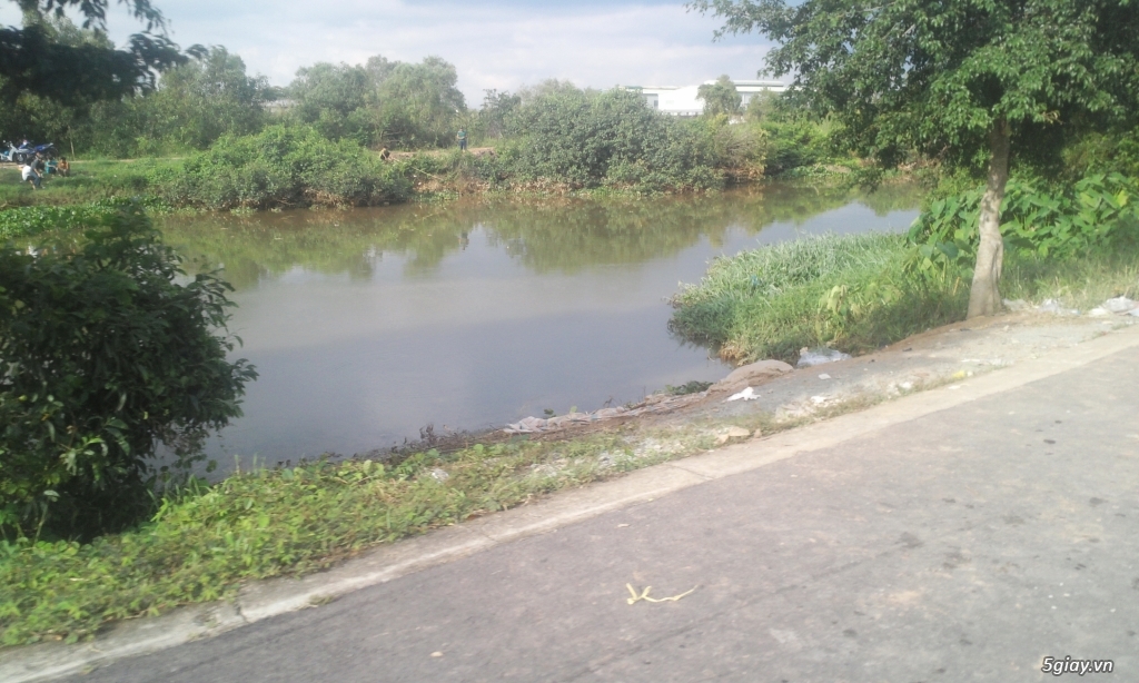 Đất thổ 100% gần ngã 3 tân đô tỉnh lộ 10 bình chánh - 1