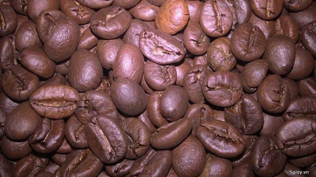 Cà phê sạch 100% cà phê nguyên chất - 3