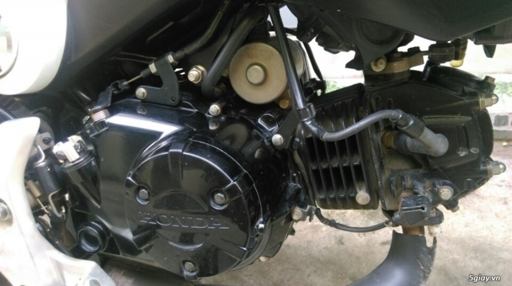 Honda MSX125 2015 zin 100% odo 7000km BS đẹp ngay chủ công chứng - 16