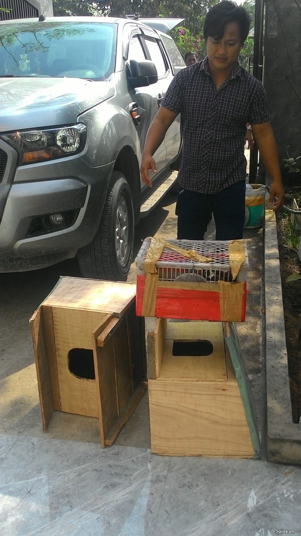 vịt uyên ương bình chánh bán buôn các loại vịt kiểng đẹp ngoại nhập - 1