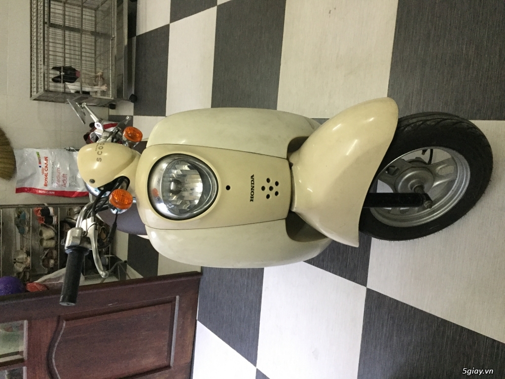 Xe scoopy 50cc